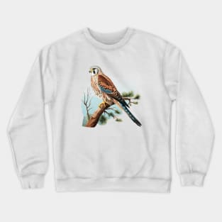 Kestrel Crewneck Sweatshirt